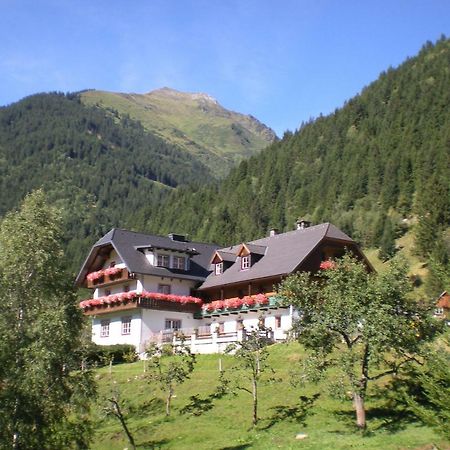 Biobauernhof Spieszschweiger Villa Sankt Nikolai im Solktal Bagian luar foto