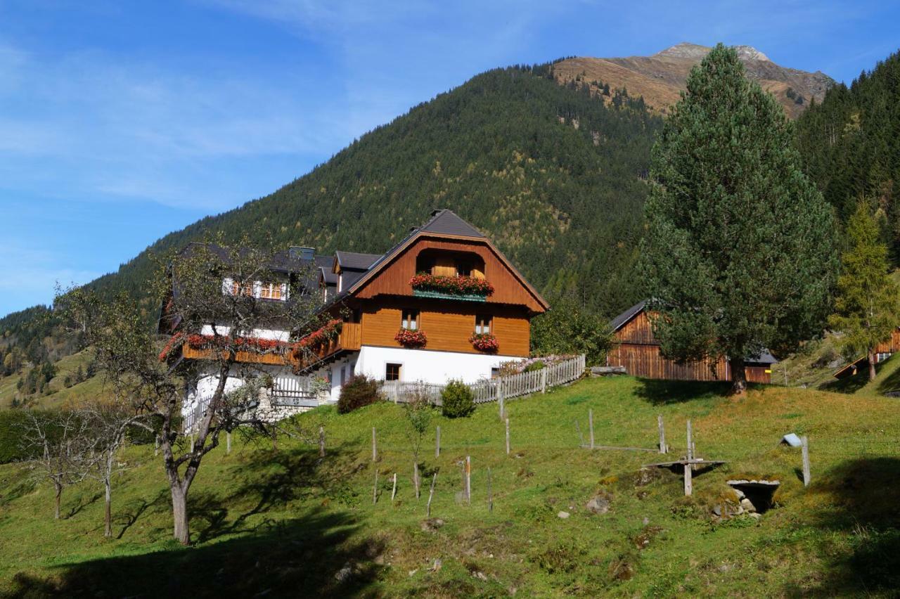 Biobauernhof Spieszschweiger Villa Sankt Nikolai im Solktal Bagian luar foto