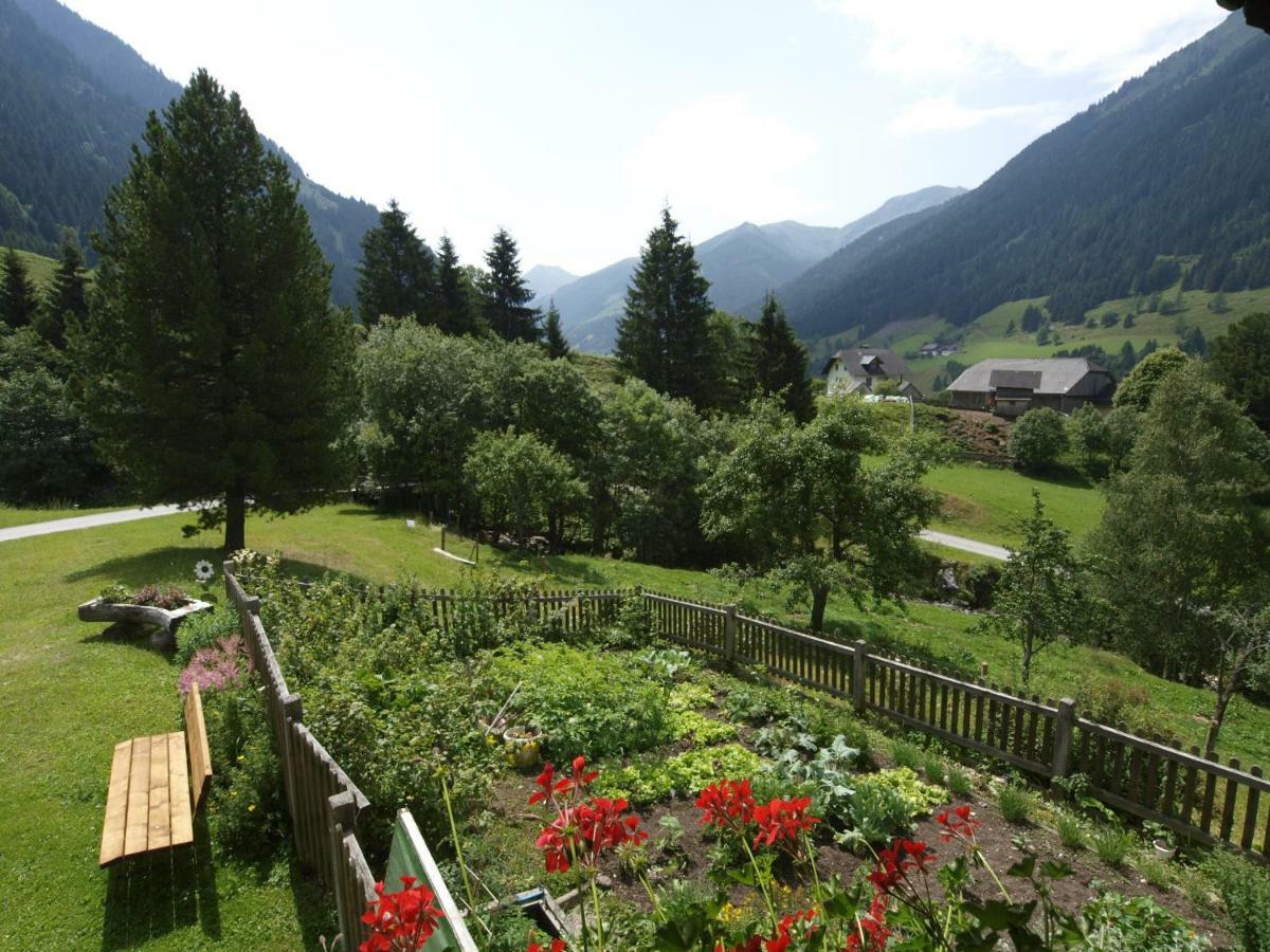 Biobauernhof Spieszschweiger Villa Sankt Nikolai im Solktal Bagian luar foto