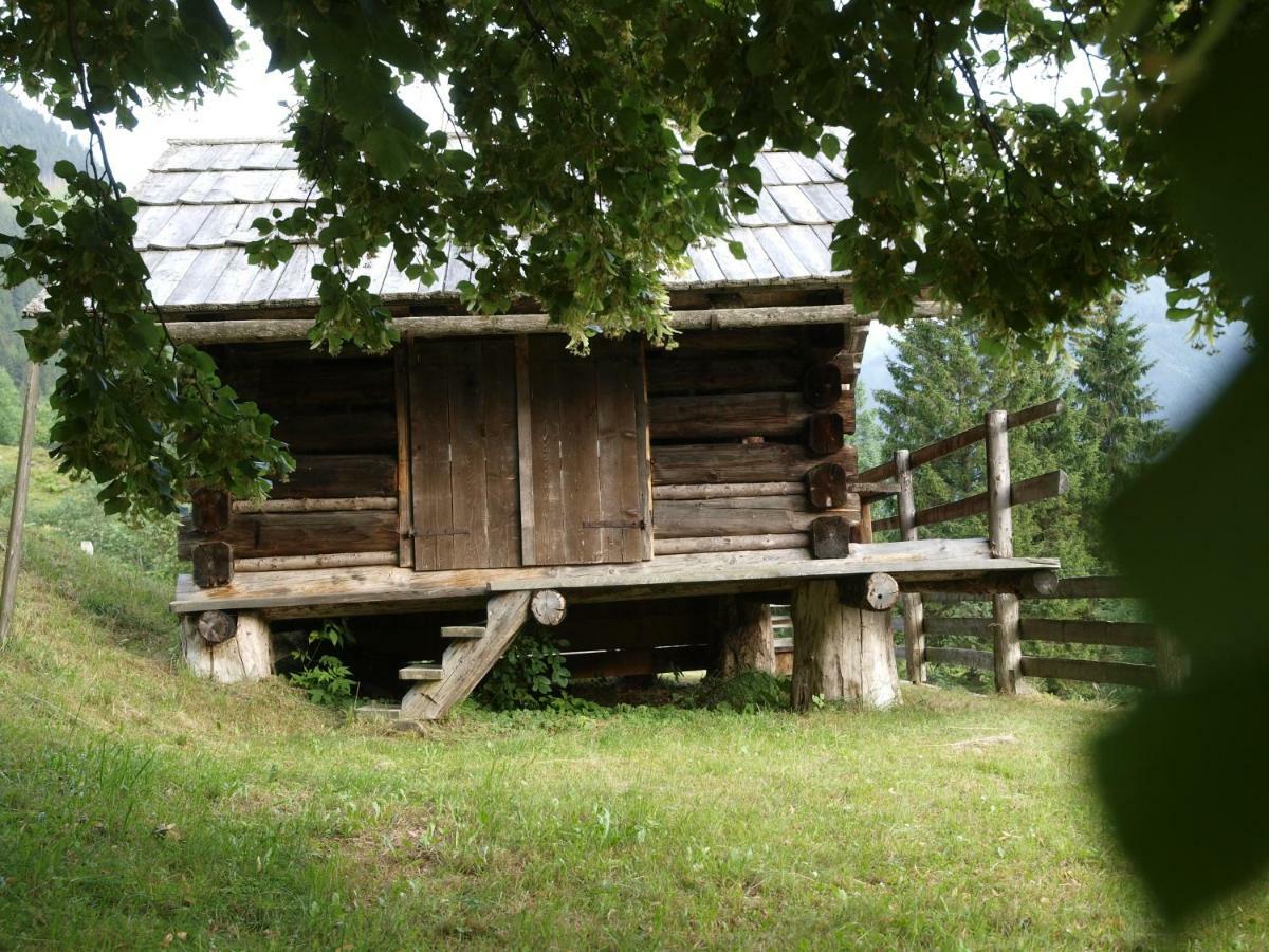 Biobauernhof Spieszschweiger Villa Sankt Nikolai im Solktal Bagian luar foto