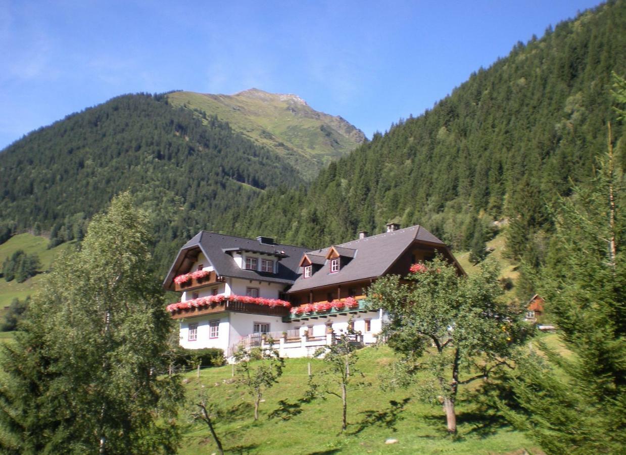 Biobauernhof Spieszschweiger Villa Sankt Nikolai im Solktal Bagian luar foto