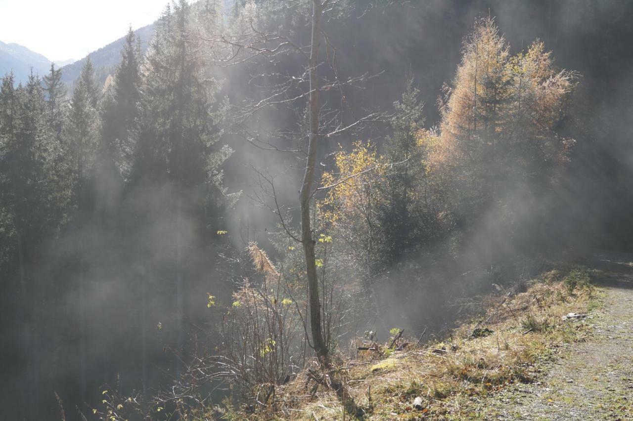 Biobauernhof Spieszschweiger Villa Sankt Nikolai im Solktal Bagian luar foto